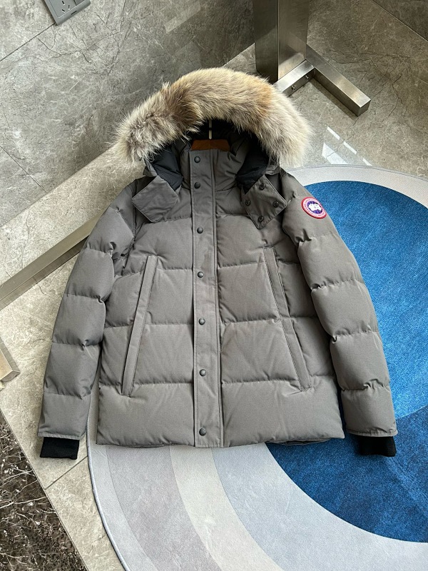 Canada Goose